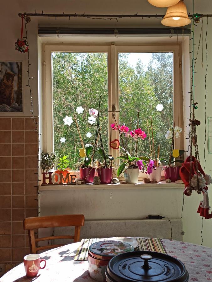 Ferienwohnung Maslinov Hlad Barbat na Rabu Exterior foto